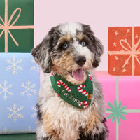 #Modeled by Blue (25lbs) in Small