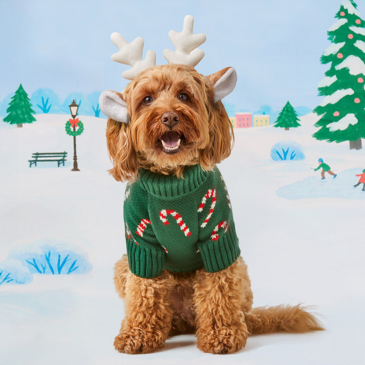 Evergreen Candy Canes Dog Sweater from The Foggy Dog