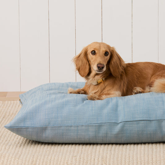 #Modeled by Charlie (12lbs) on Medium