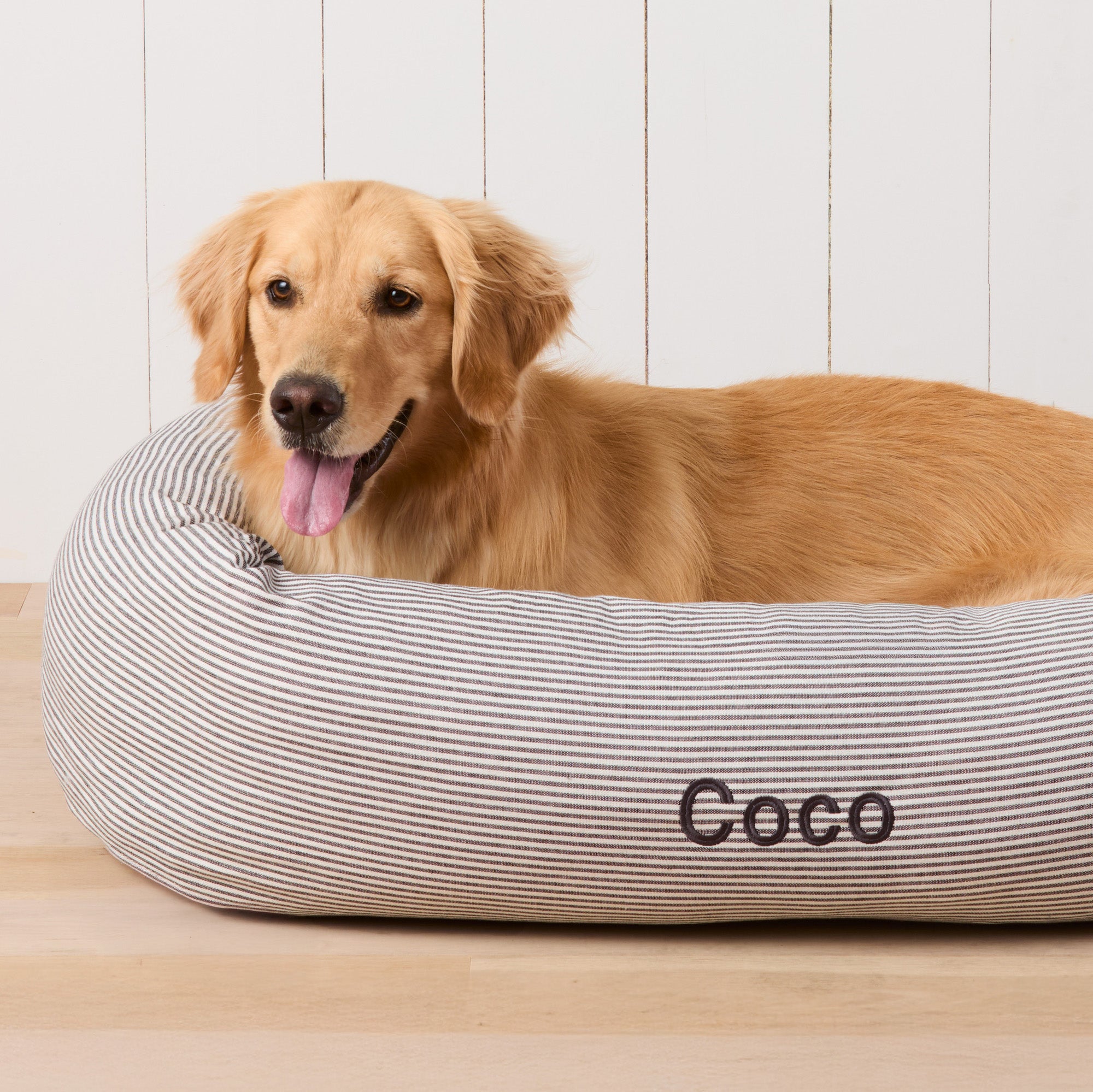 #Modeled by Holly (50lbs) in Large