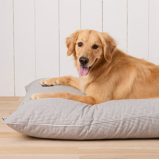 #Modeled by Holly (50lbs) on Large