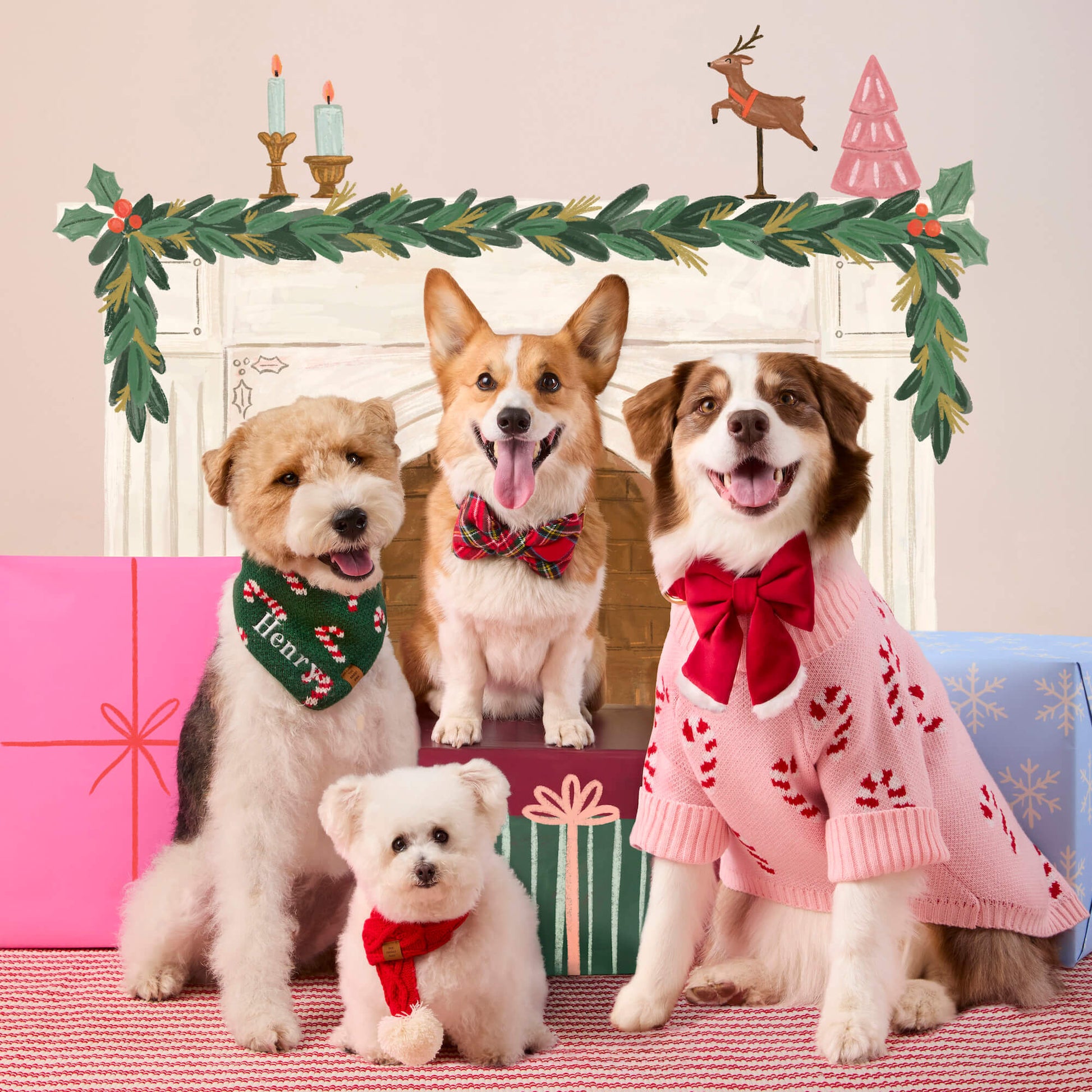 #Modeled by Sis (42lbs) in a Medium collar and Large lady bow