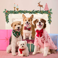 #Modeled by Sis (42lbs) in a Medium collar and Large lady bow