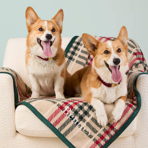 #Modeled by Captain (30lbs) and Tony (30lbs) on Midi