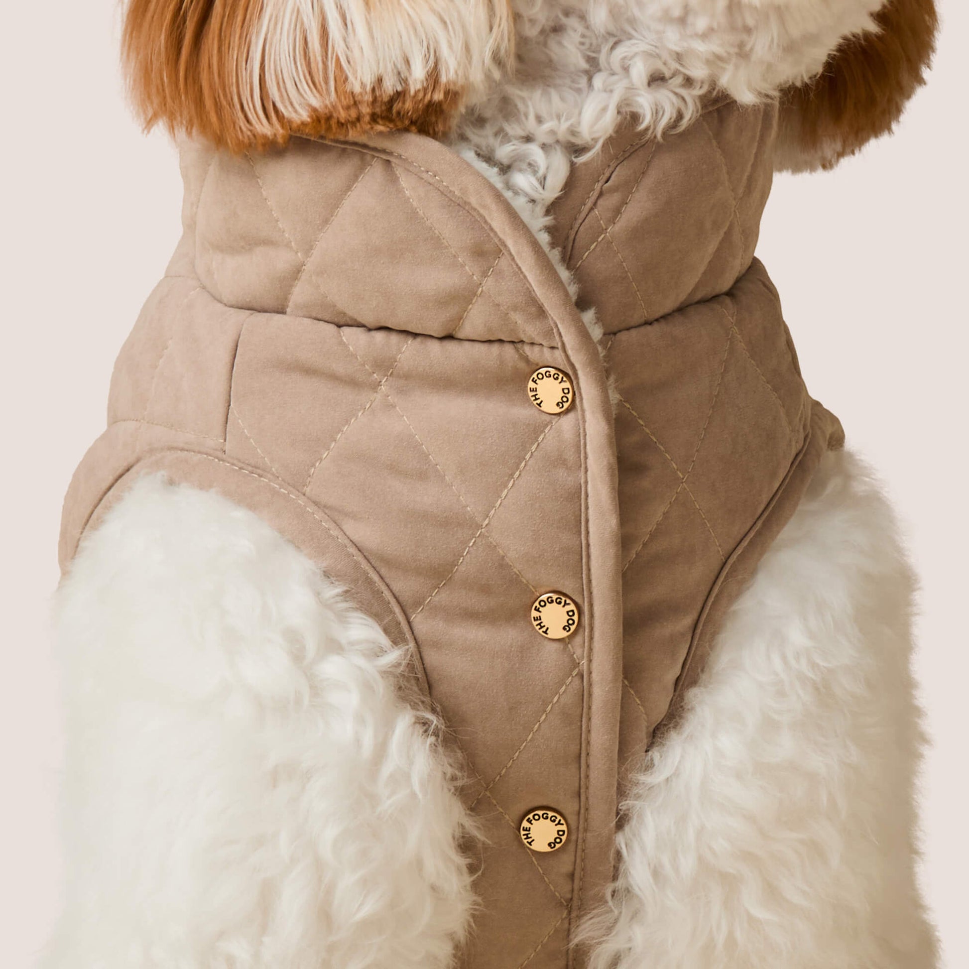 #Modeled by Sambal (25lbs) in Medium