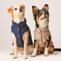 #Modeled by Fauna (14lbs) in Small and Jax (8lbs) in X-Small