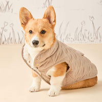 #Modeled by Foxy (14lbs) in Small