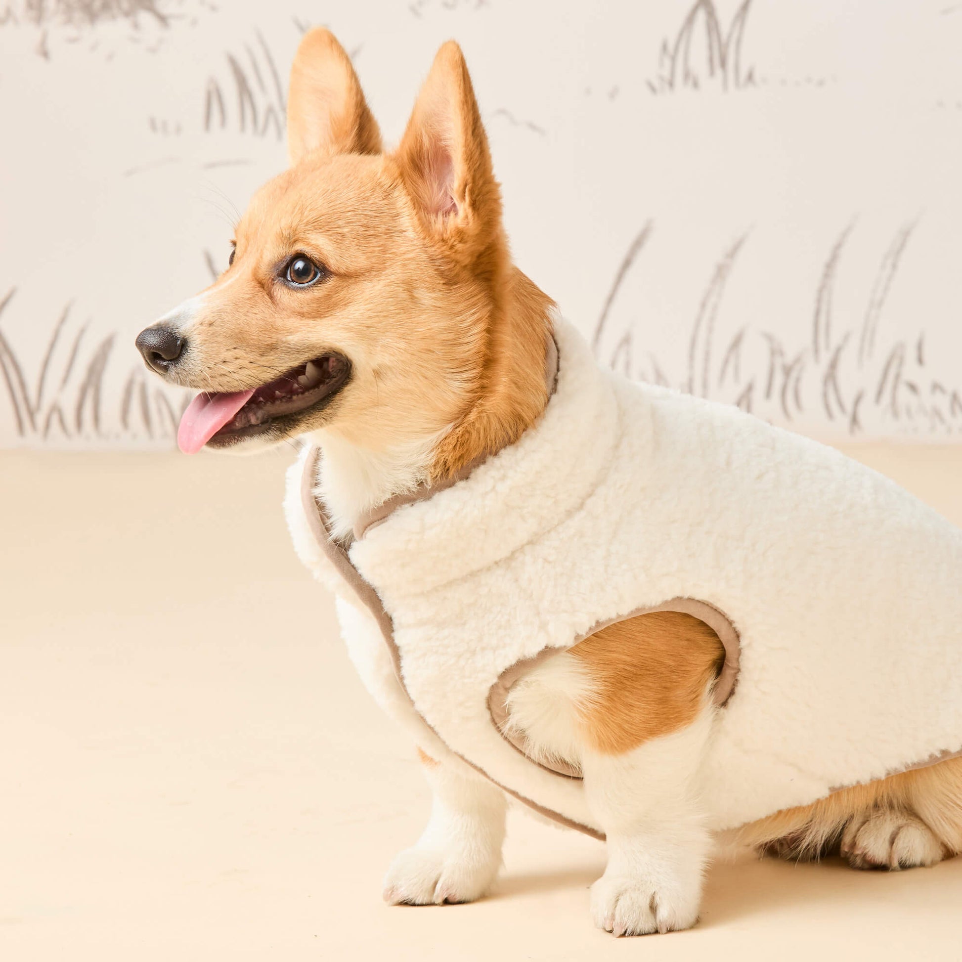 #Modeled by Foxy (14lbs) in Small