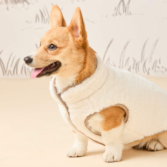 #Modeled by Foxy (14lbs) in Small