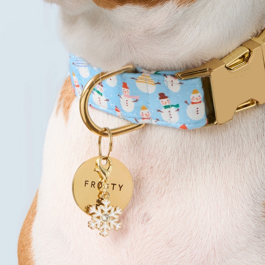Snowflake Collar Charm from The Foggy Dog