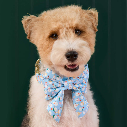 #Modeled by Sesame (25lbs) in a Large lady bow