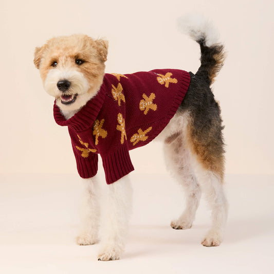 #Modeled by Sesame (24lbs) in Medium