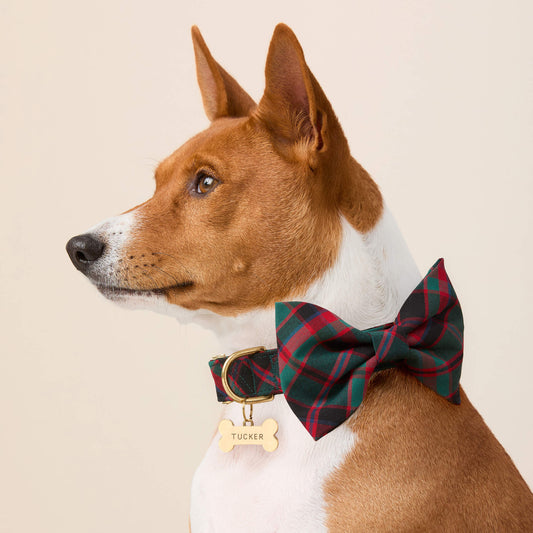 #Modeled by Ricky (30lbs) in a Large bow tie