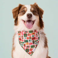 #Modeled by Sis (40lbs) in Medium