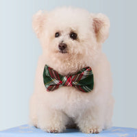 #Modeled by Molly (10lbs) in a Large bow tie