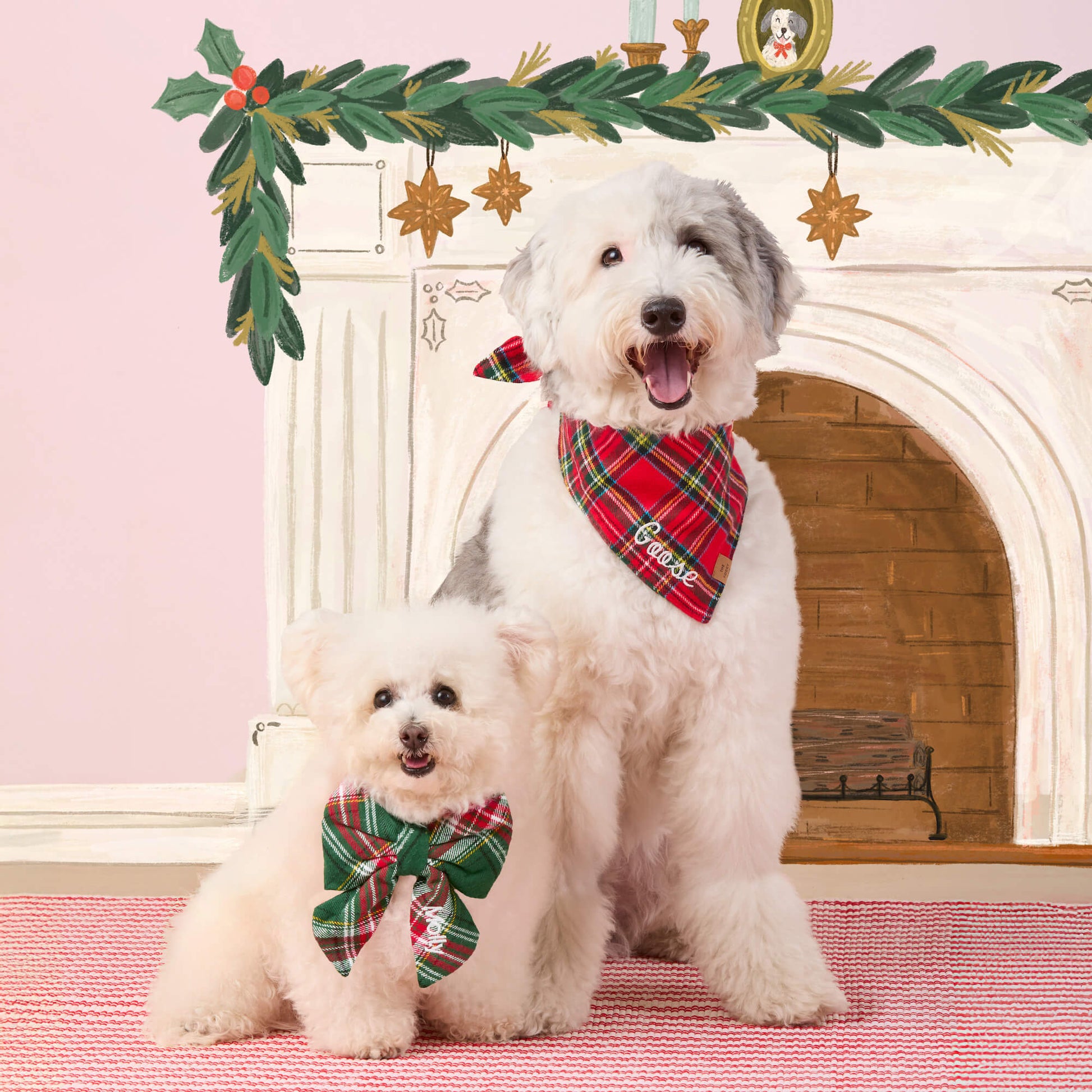 #Modeled by Molly (10lbs) in a Small collar and Large lady bow