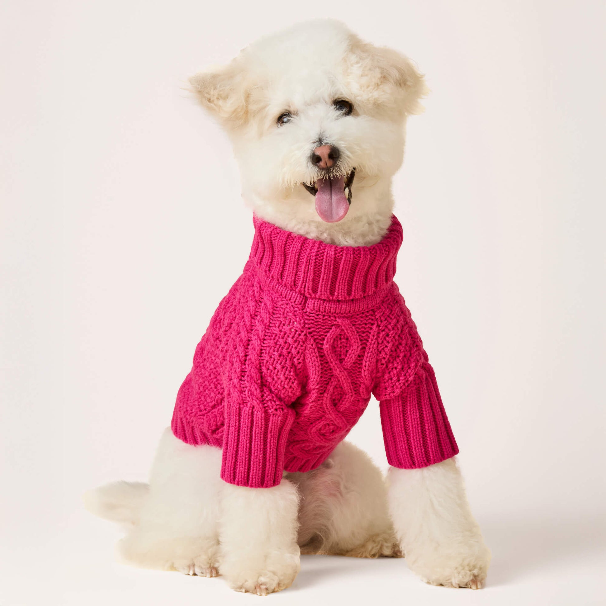 #Modeled by Mochi (14lbs) in Small