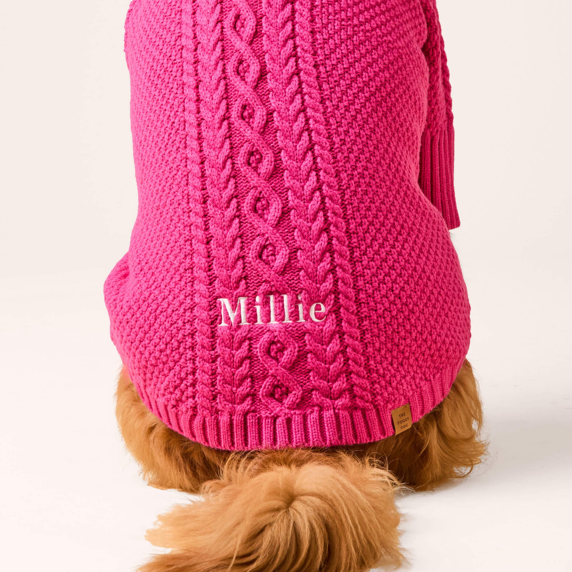 #Modeled by Goose (80lbs) in X-Large