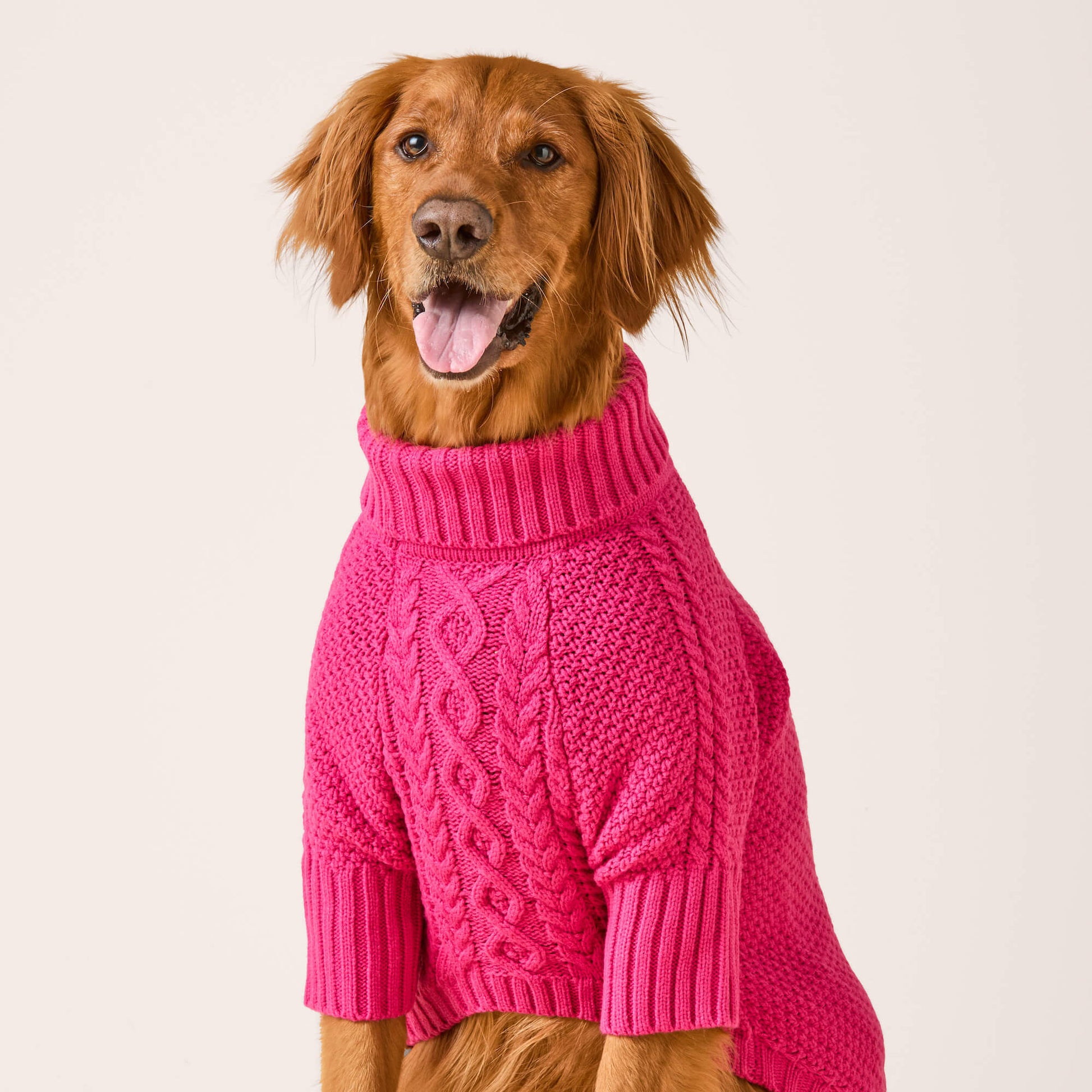 #Modeled by Goose (80lbs) in X-Large