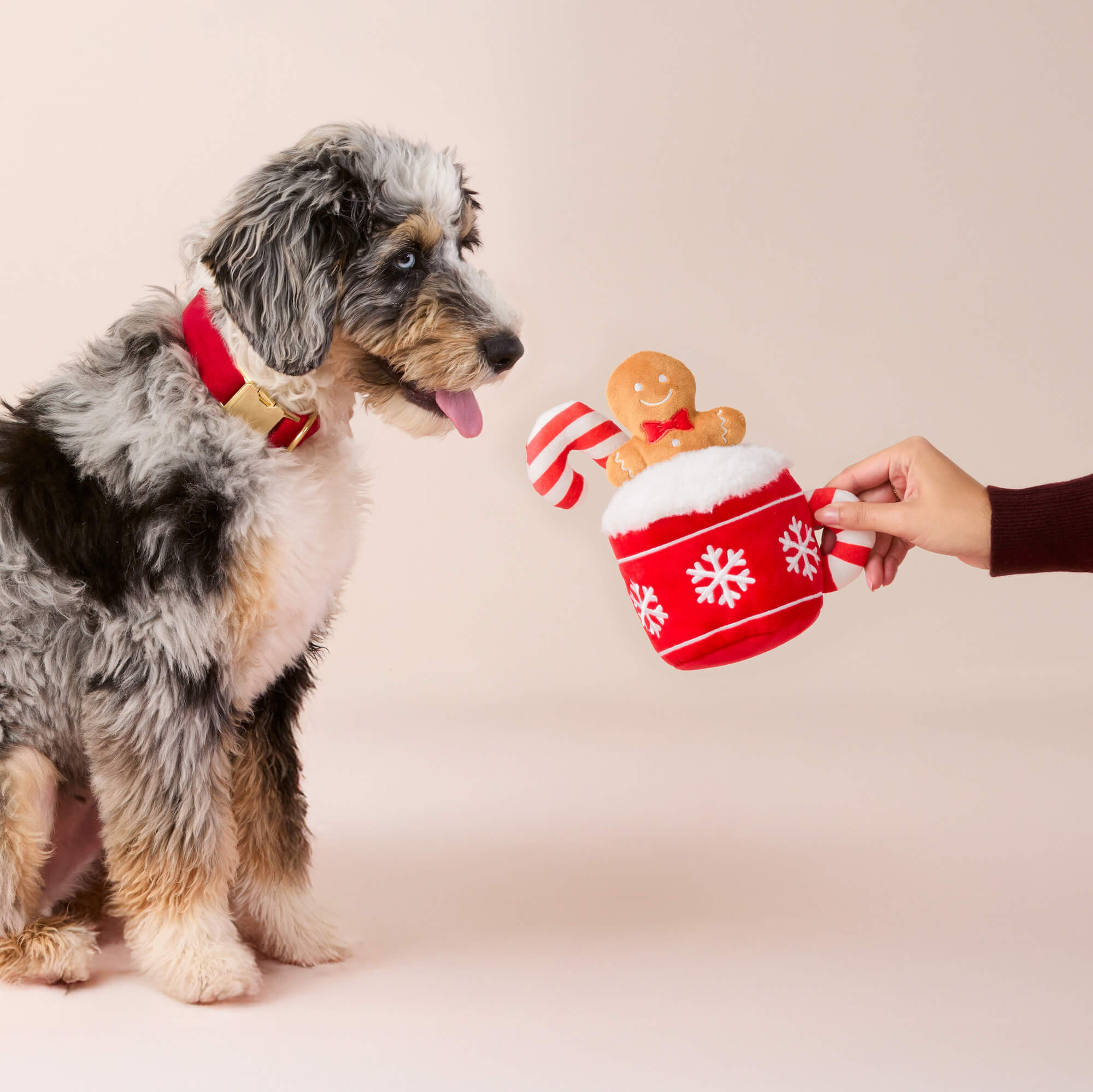Holiday Hot Cocoa Interactive Snuffle Dog Toy – The Foggy Dog