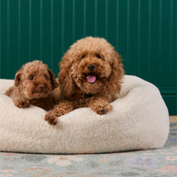 #Modeled by Moose (10lbs) and Utah (26lbs) in Large