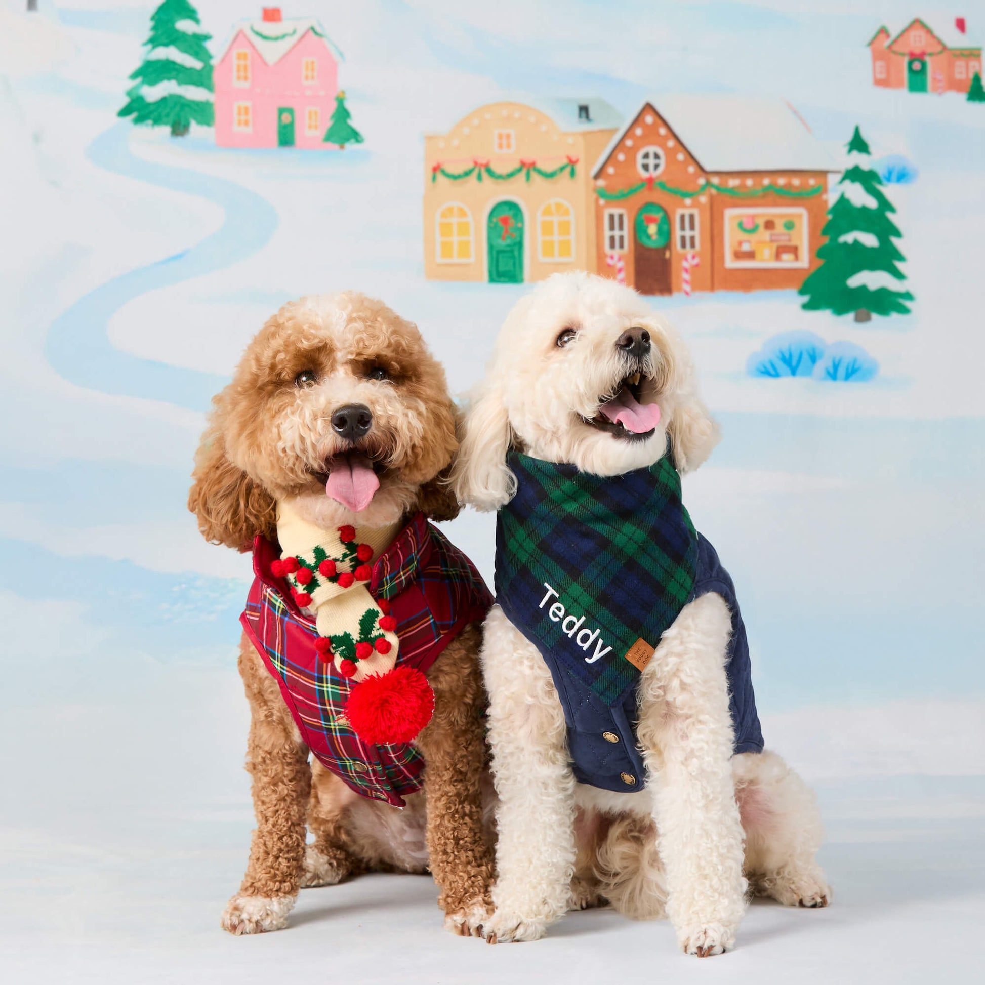 #Modeled by Mabel (20lbs) in Medium