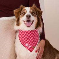 #Modeled by Sis (42lbs) in Medium