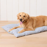 #Modeled by Holly (50lbs) on a Large travel mat