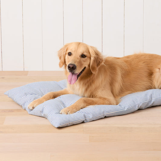 #Modeled by Holly (50lbs) on X-Large