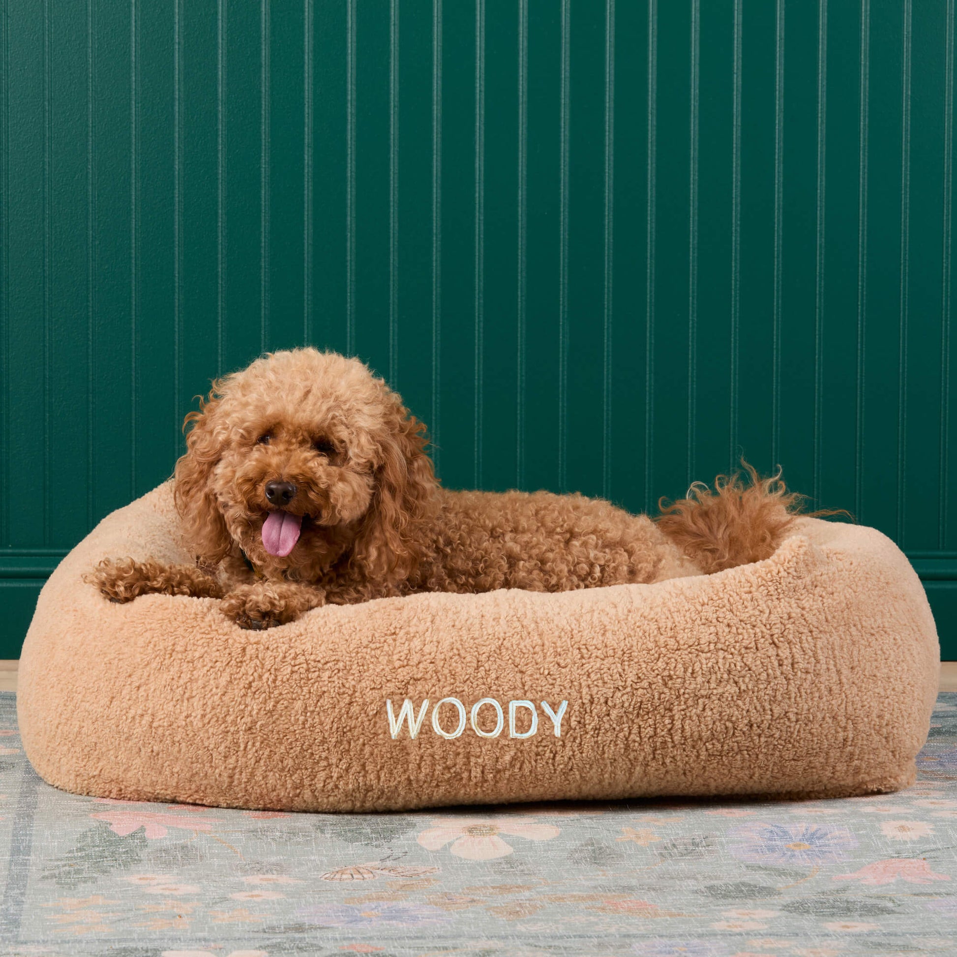 #Modeled by Utah (26lbs) in Medium