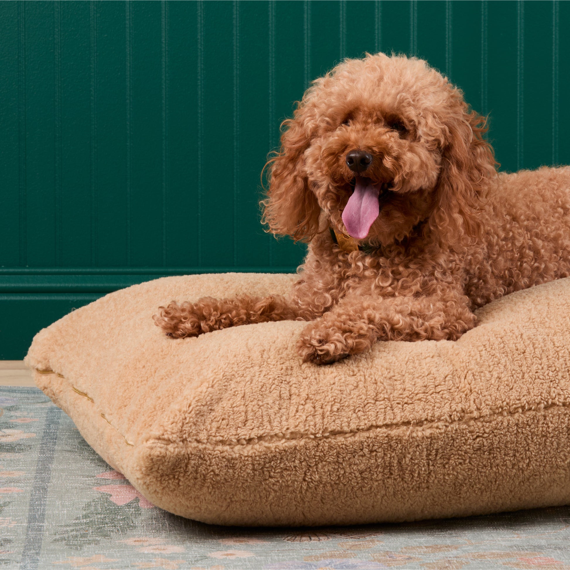 #Modeled by Utah (26lbs) on Large