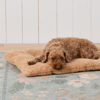 #Modeled by Moose (10lbs) on a Medium travel mat