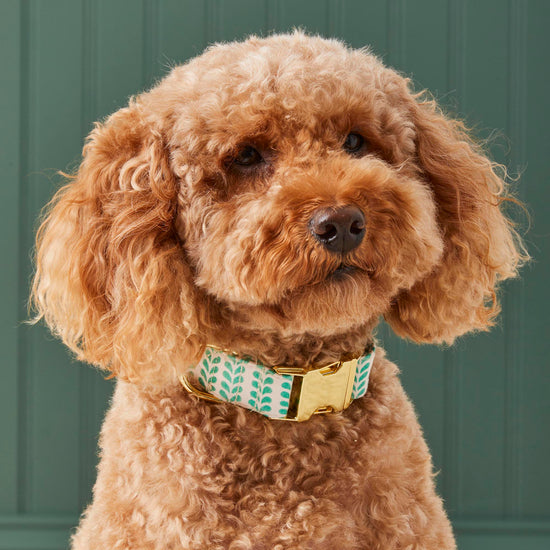 Leafy Stripe Dog Collar