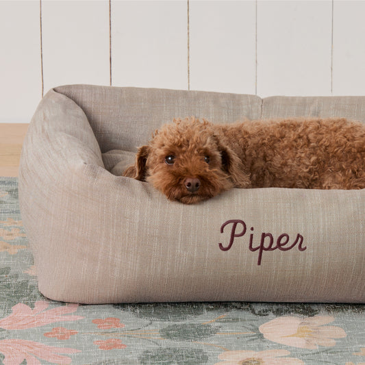 #Modeled by Moose (10lbs) in Medium