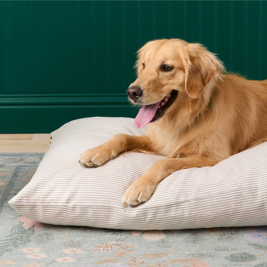 #Modeled by Holly (50lbs) on Large