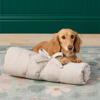 #Modeled by Charlie (12lbs) on a Medium travel mat