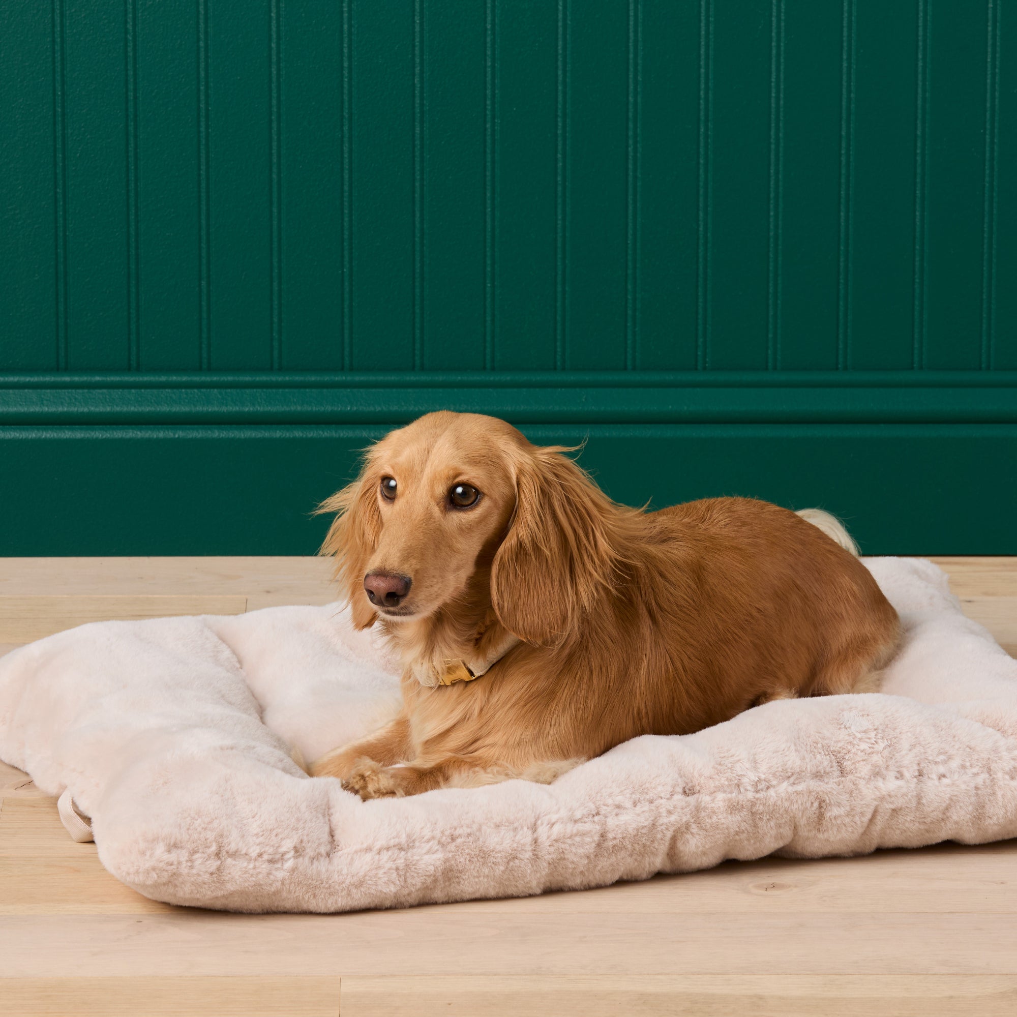 Natural Recycled Faux Fur Bolster Dog Bed – The Foggy Dog