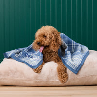 #Modeled by Utah (26lbs) on Large