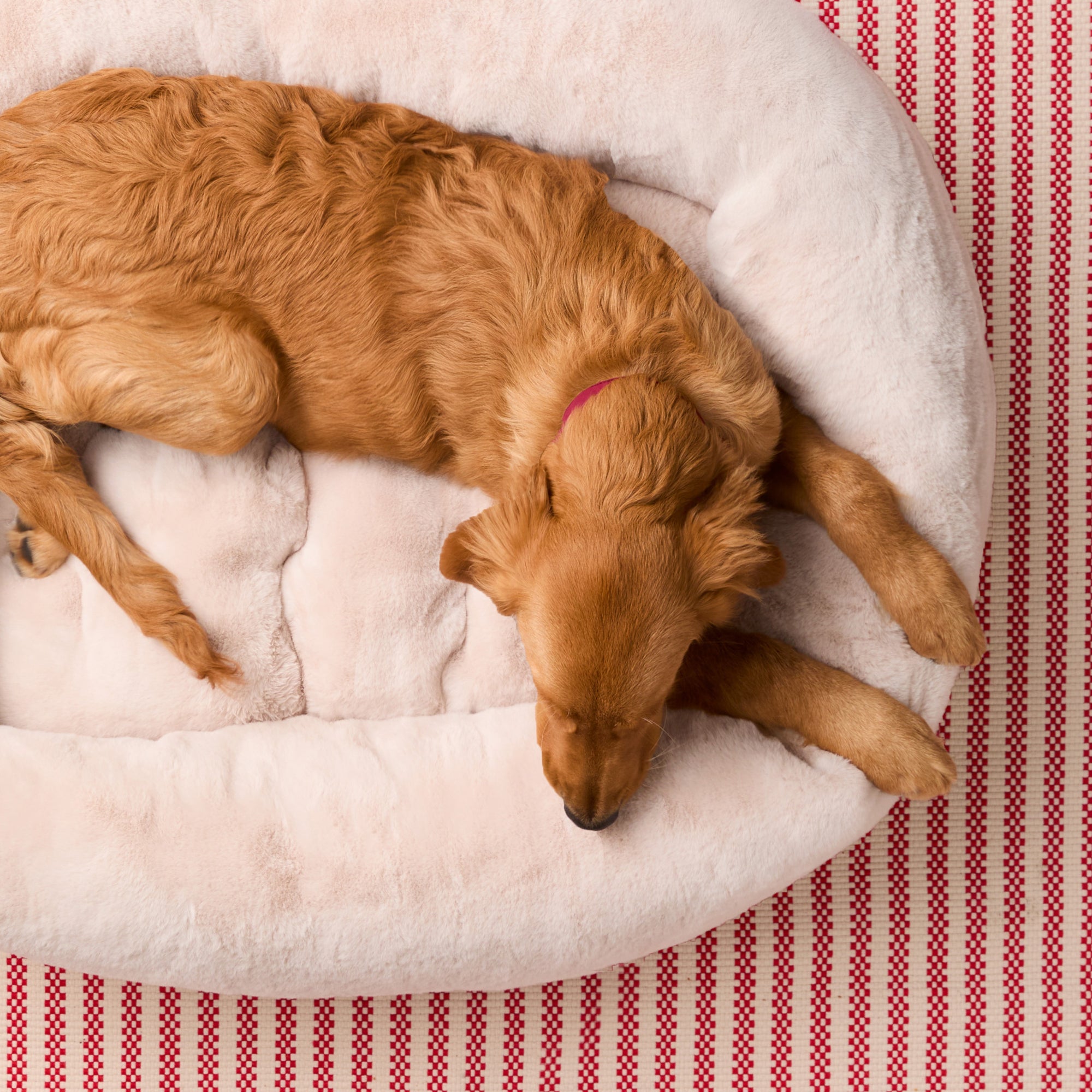 Natural Recycled Faux Fur Bolster Dog Bed – The Foggy Dog