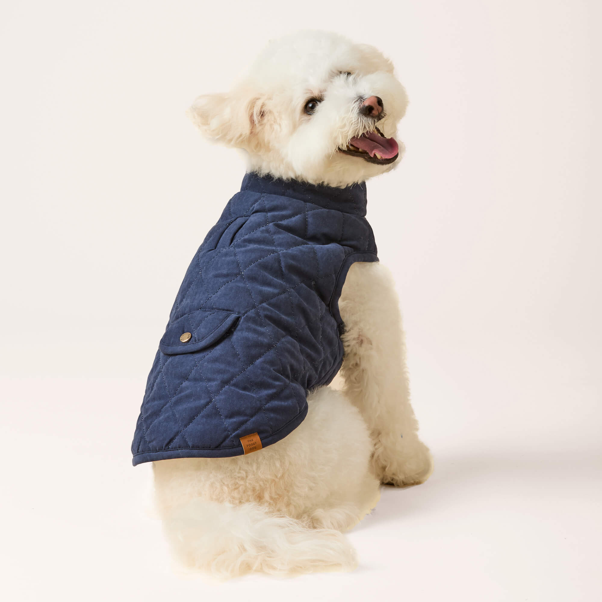 Navy Sherpa-Lined Reversible Dog Jacket – The Foggy Dog