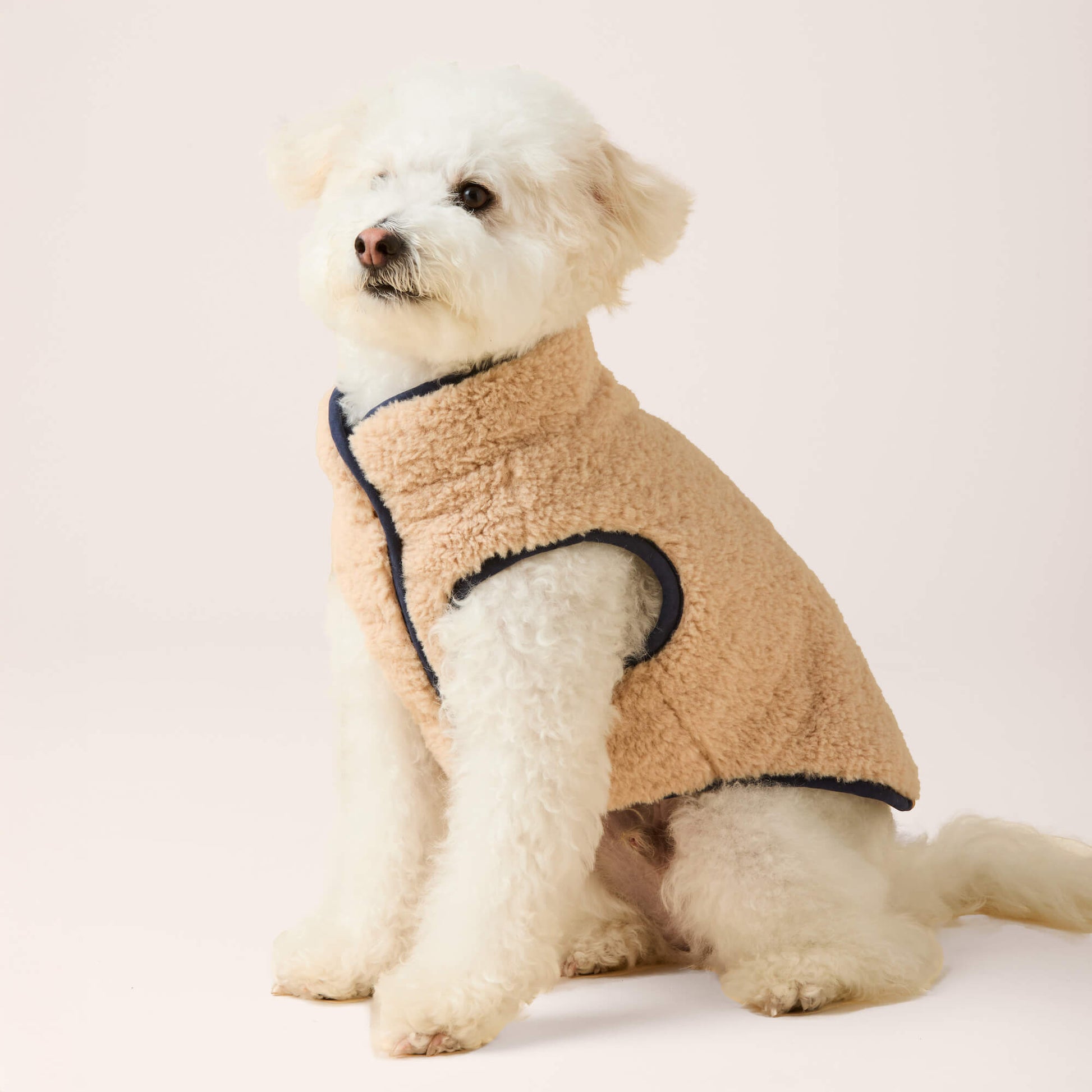 Navy Sherpa-Lined Reversible Dog Jacket – The Foggy Dog