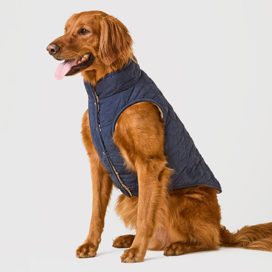 Navy Sherpa-Lined Reversible Dog Jacket view 1