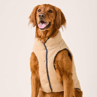 #Modeled by Goose (80lbs) in XX-Large