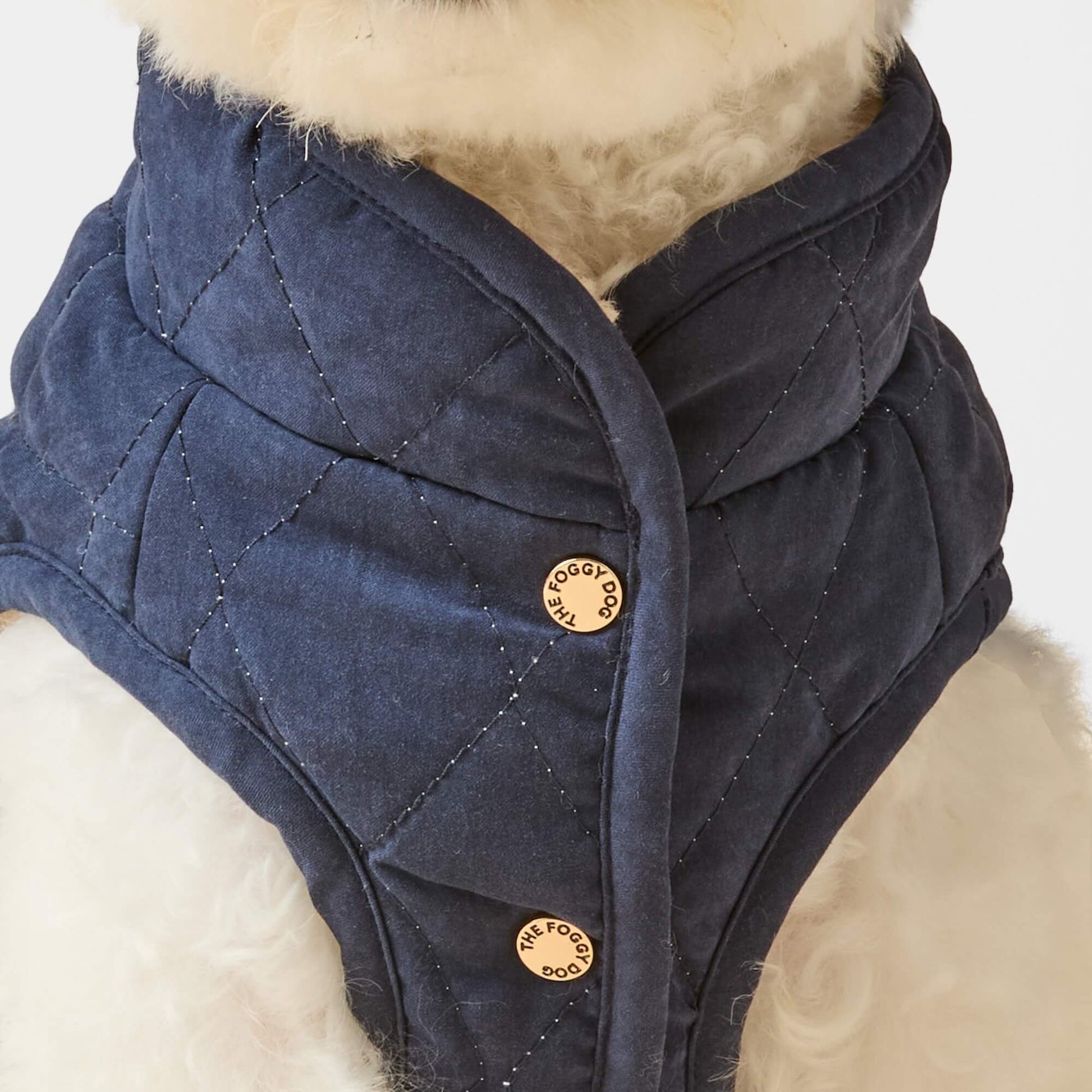 #Modeled by Mochi (14lbs) in Small