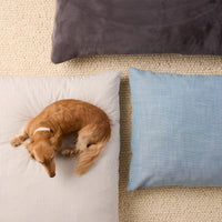 #Modeled by Charlie (12lbs) on Medium