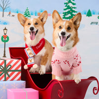 #Modeled by Captain (30lbs) in Medium