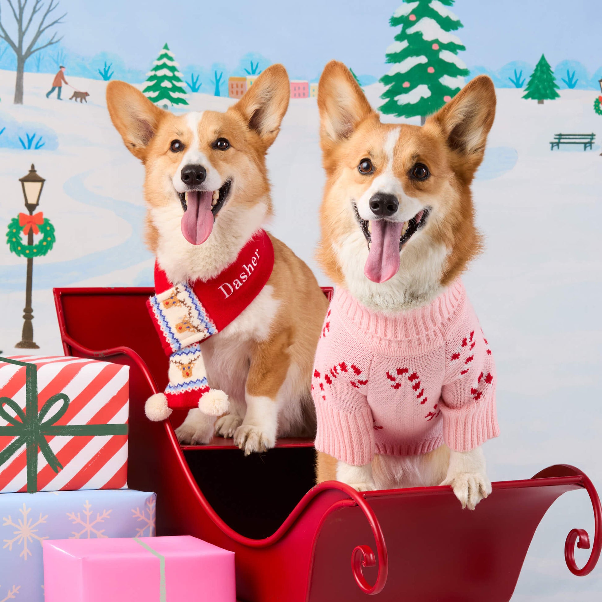 #Modeled by Tony (30lbs) in Medium