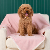 #Modeled by Utah (26lbs) on Midi