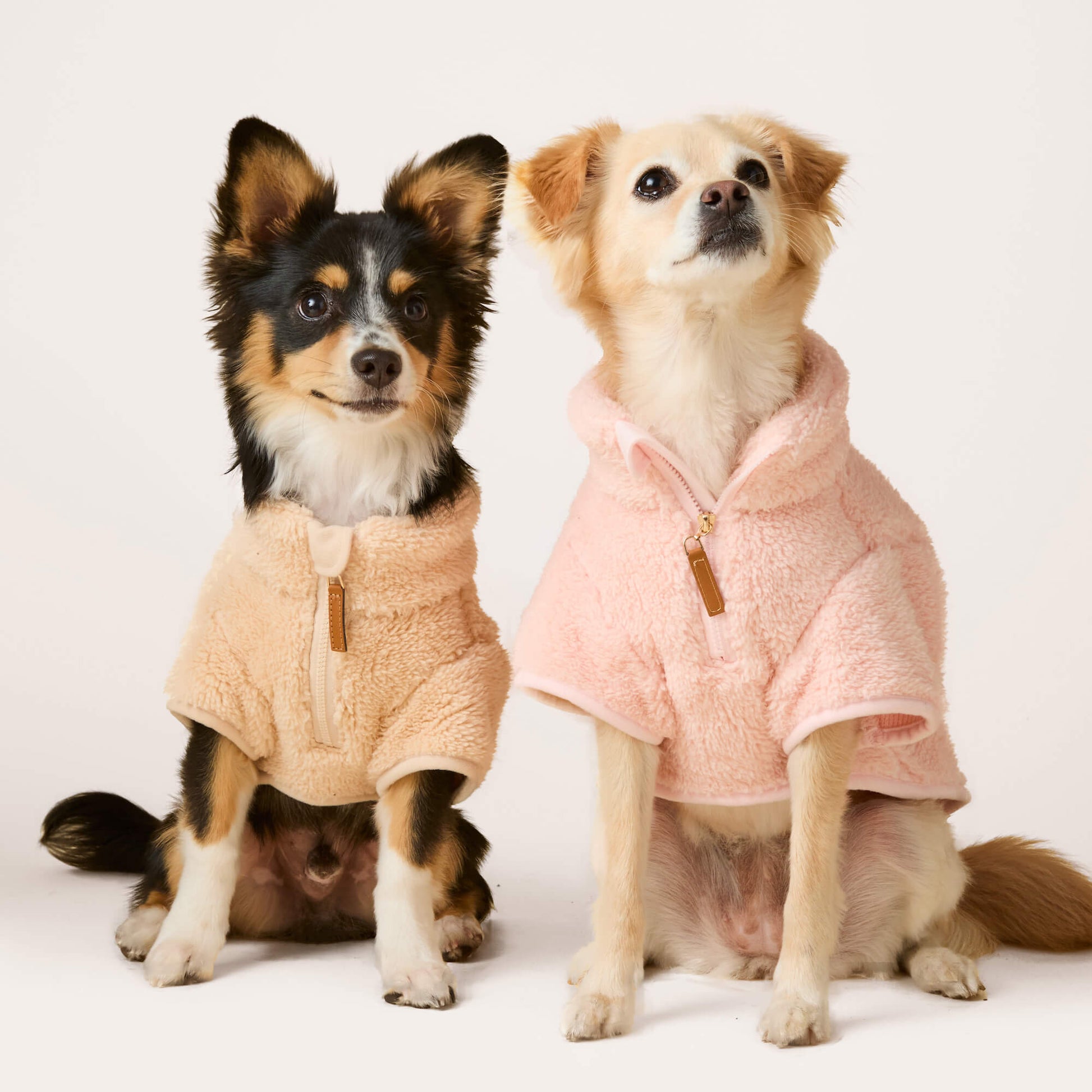 #Modeled by Jax (8lbs) in X-Small and Fauna (14lbs) in Small