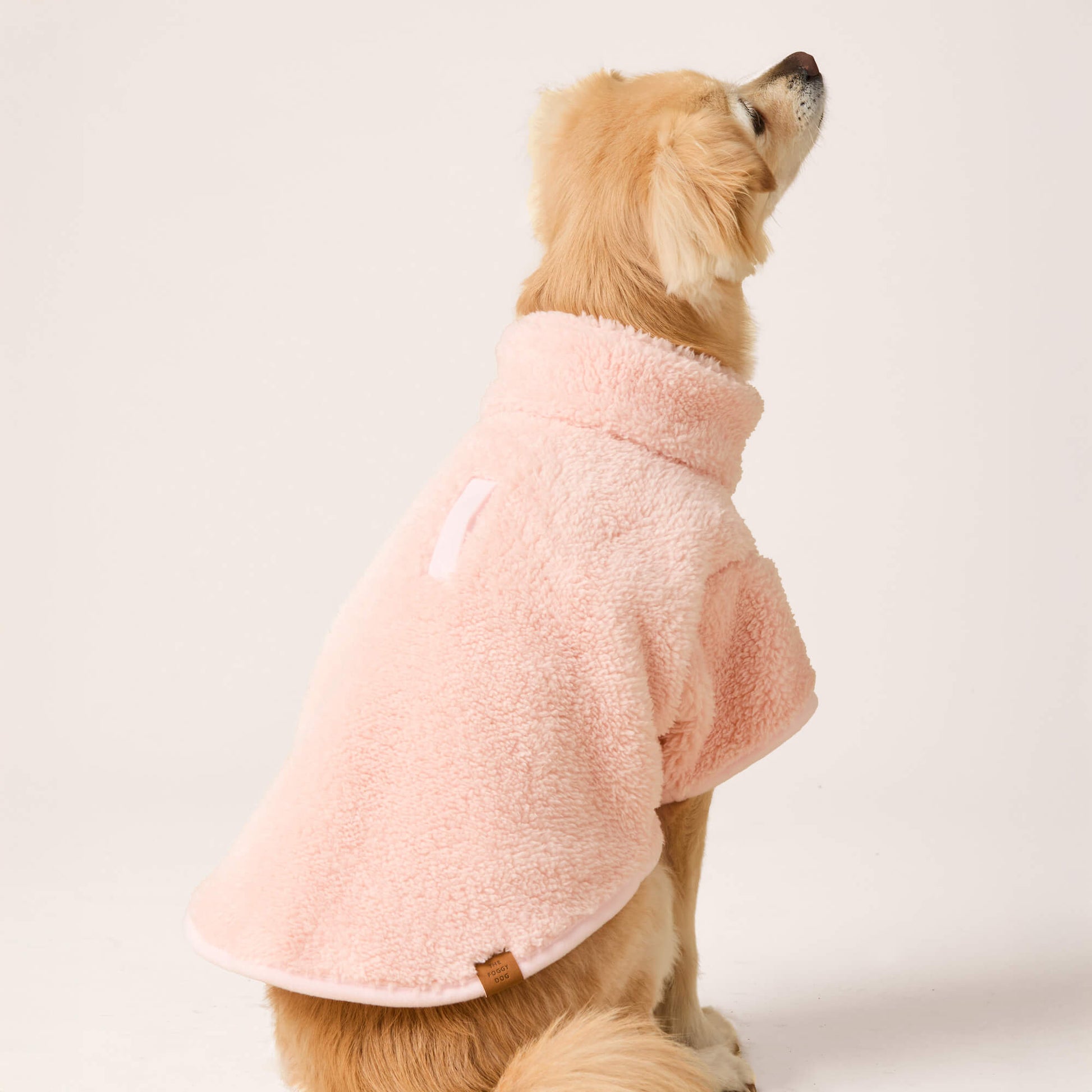 #Modeled by Fauna (14lbs) in Small
